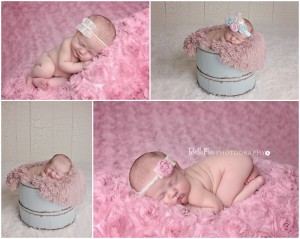 garner raleigh clayton cary nc newborn photographer