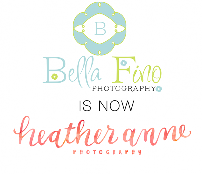bella fino photography is now heather anne photography of raleigh north carolina