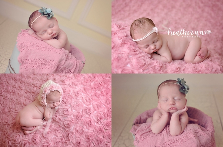 Triangle Newborn Photographer Photos of Baby