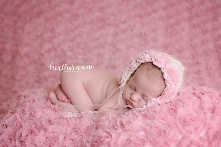 Triangle Newborn Photographer Photos of Baby