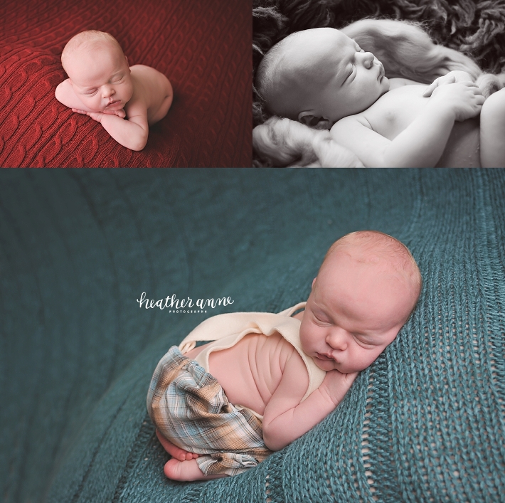 apex newborn photographer