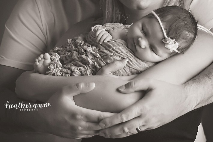 holly springs newborn photographer