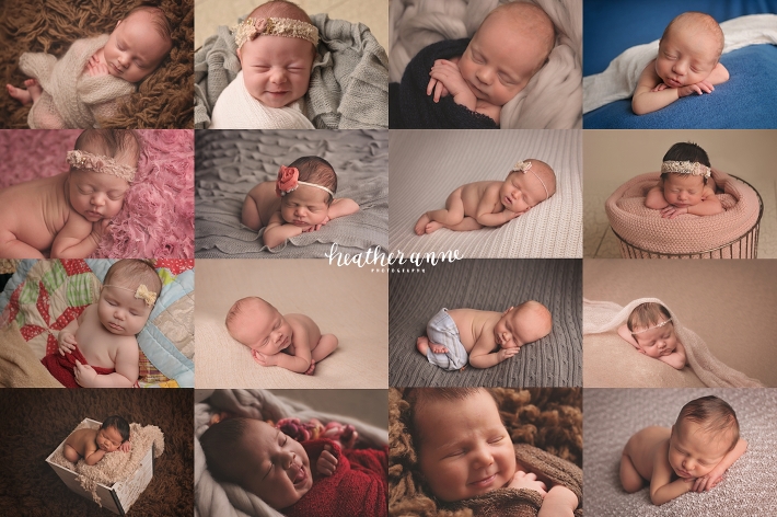 best raleigh newborn photographer