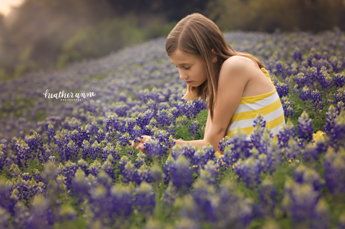 bluebonnet mini sessions