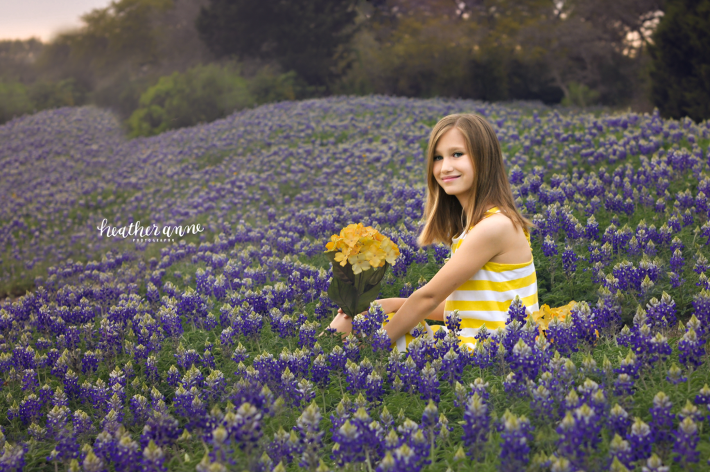 bluebonnet mini sessions