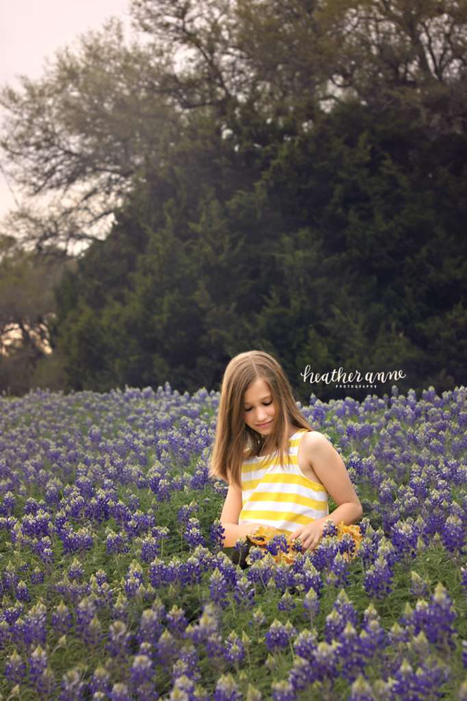 bluebonnet mini session