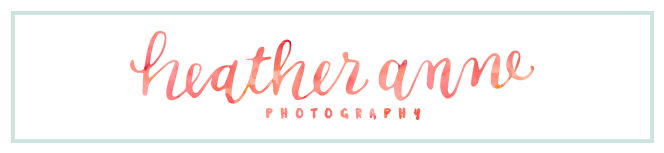 Heather Anne Photography logo